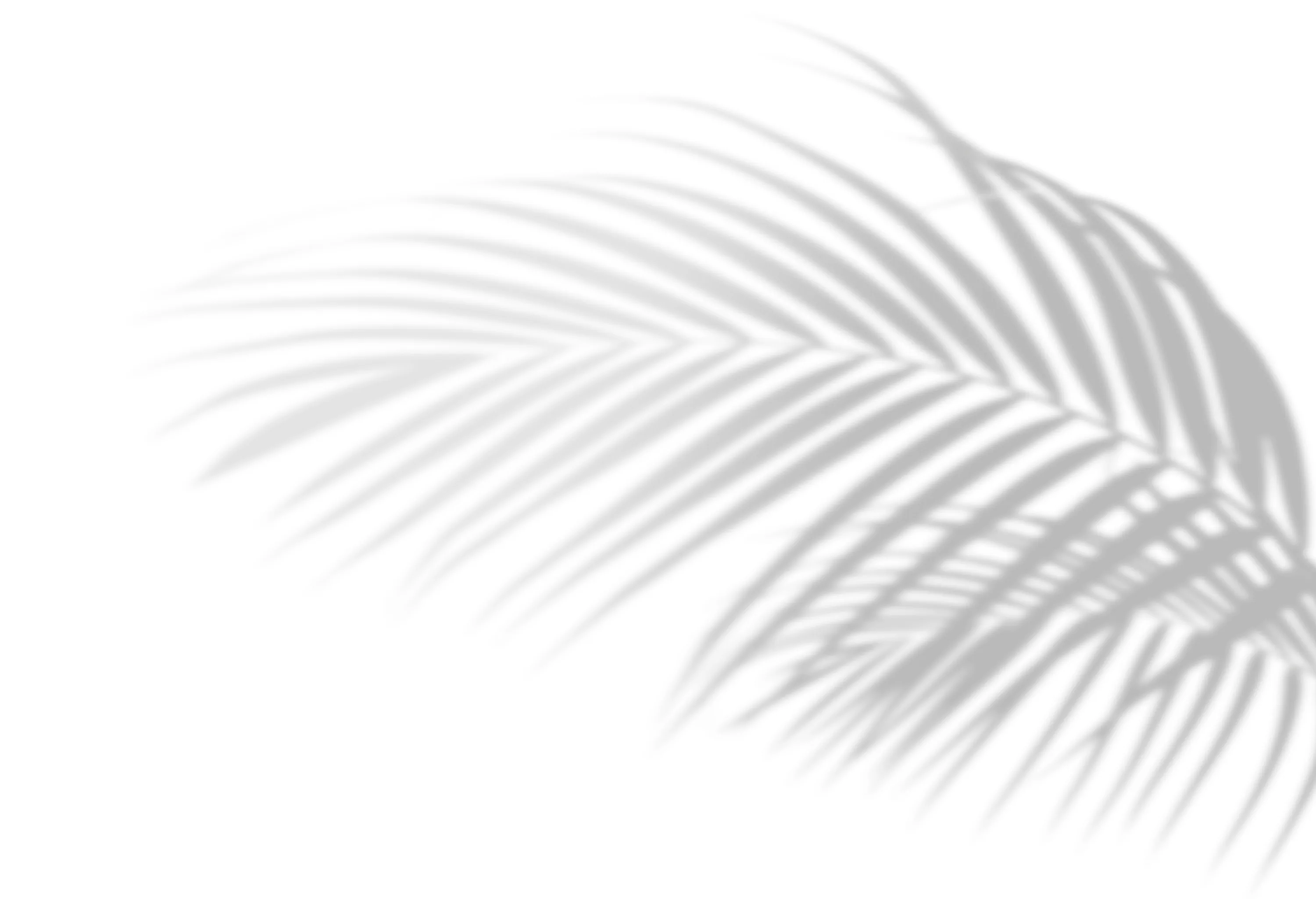 Background Leaf